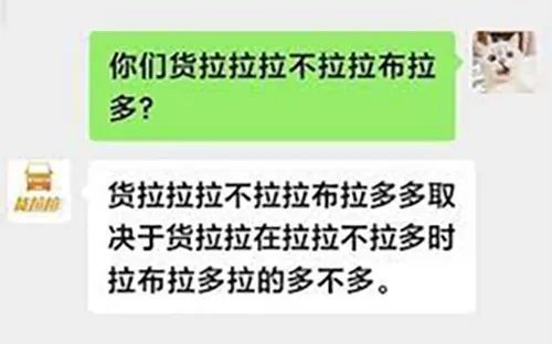 广东开通宠物专线你愿意和猫狗同坐一车吗